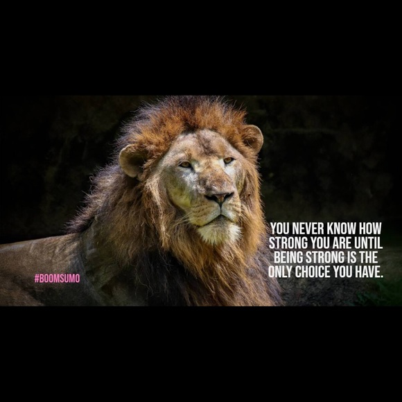 Meet your Posher, Jr. - Picture 3 of 4